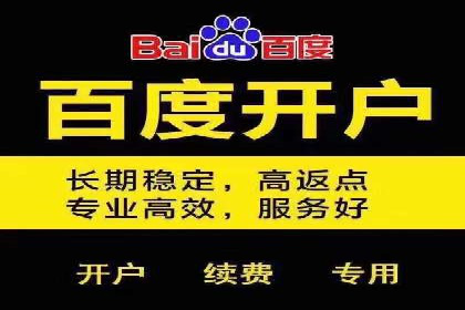 SEM服务公司助力品牌崛起案例